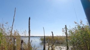 Теренкуль