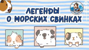 Легенды и мифы о морских свинках