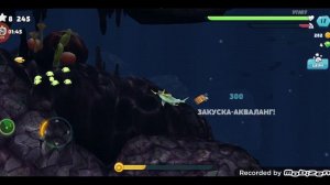 Играю в хангри шар Эволюшн