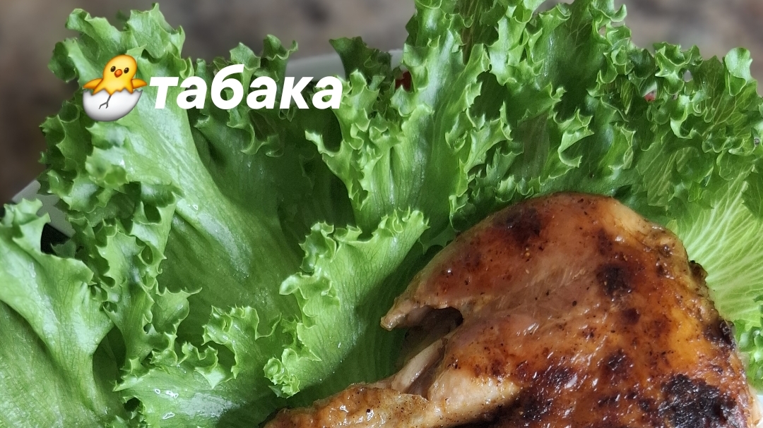 цыленок табака 🐣