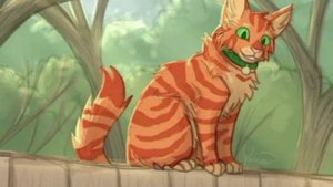 •°•Знакомство  с персонажами #1•°•
🔥Рыжик/огнезвезд✨