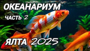 Крым 2025 | Ялтинский океанариум