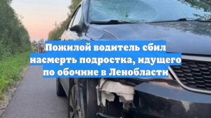 Пожилой водитель сбил насмерть подростка, идущего по обочине в Ленобласти