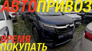20 АВТО ЗА 20 МИНУТ PASSAT CH-R X1 CHANGAN THARU AD VEZEL ALLION STEP JIMNY CIVIC