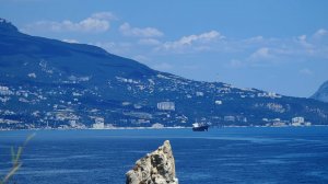 Привет 👋 💕🐬