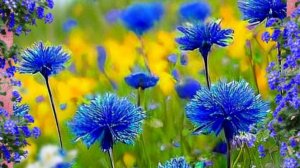 С добрым утром новым днем пожелания красивые 🌞