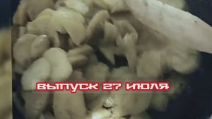 Настоящий детектив 27.07.2025

В подмосковном Щелкове в новогоднюю ночь убита учащаяся колледжа Свет