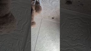 выполняю ваши задания часть вторая