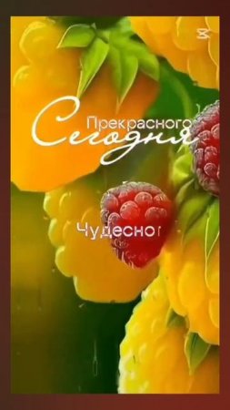 ДОБРЫЙ ДЕНЬ! 😁😁😁 28.07.2025г. Удачных событий и дел, позитивного равновесия и моментов! 😄😄😄