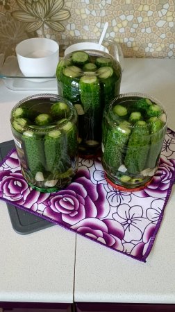 Заготовки на зиму 🥒😊👍