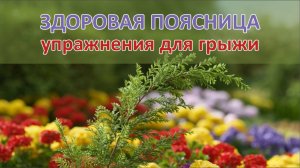 Упражнения при грыже поясницы. Часть 1