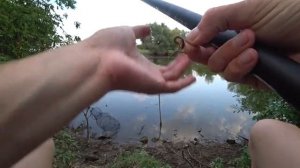 Рыбалка на карася