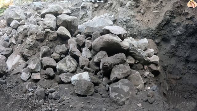 Строительство, экскаватор копает песок