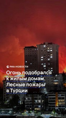 Огонь подобрался к жилым домам. Лесные пожары в Турции