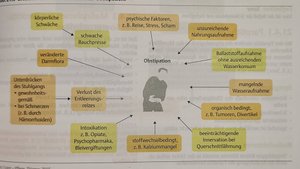 Запор. Профилактика запоров.