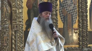 "Да будут они едино...".  Проповедь протоиерея Артемия Владимирова. 270725.