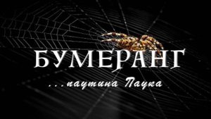 Паутина паука