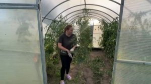 Планы поменялись! Придется все переиграть! Строим новый дом внутри старого. Жизнь в деревне.