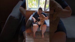 Выходной на даче, сегодня жарко, отдыхаем.