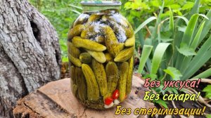 Огурцы на зиму без уксуса, стерилизации и сахара! Холодный способ! Хрустящие как из бочки!