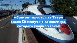 «Сапсан» простоял в Твери около 50 минут из-за зацепера, которого ударило током