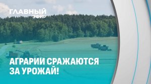 Жатва набирает темпы! Как аграрии Беларуси справляются с вызовами природы. Главный эфир