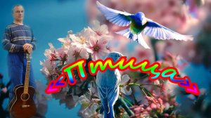 "Птица" Кавер от Алексея Николаевича Климова