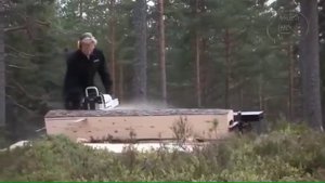 Переносная пилорама