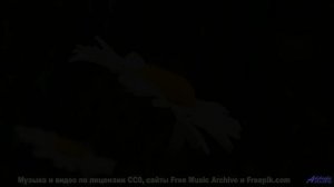 Лес поёт - вы слышите - Encomium -- Evan Schaeffer -- Afterthought