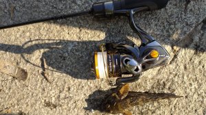 МР, Воробьевы горы. Нано и микро-джиг, утром 27 июля 2025 года