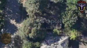 Боевая работа спецназа группировки войск Юг на Северском направлении!  Операторы FPV-дронов дв...