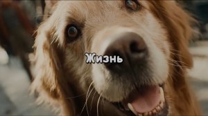Песня Жизнь