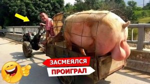 КРУТЫЕ ПРИКОЛЫ 2025 \ НОВЫЕ ПРИКОЛЫ \ СМЕШНЫЕ ПРИКОЛЫ 2025