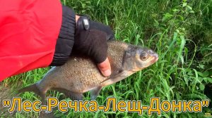 ЛЕС РЕЧКА РЫБЫ КЛЁВ ЗАХОД И ВЫХОД С ЗАЛИВА ЛЕЩ ПЛОТВА ГОЛАВЛЬ ЕЛЕЦ УКЛЕЙКА ОКУНЬ ПЕСКАРЬ ЁРШ