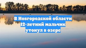 В Новгородской области 12-летний мальчик утонул в озере
