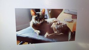 РЫМА ЧЕК - Ее уловки не действуют ни на кого .🤓🥺