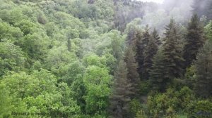Этот саундтрек идеально подходит для этой природы! - Ha, my pilot is half way to the palm rain -- A