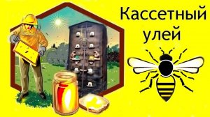 Пчелы кассетный улей осмотр
