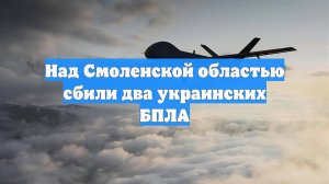 Над Смоленской областью сбили два украинских БПЛА