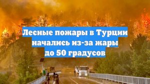 Лесные пожары в Турции начались из-за жары до 50 градусов