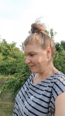 Что за растение?