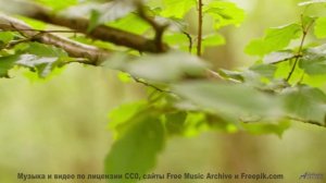 Он заставляет сердце биться чаще - проверь себя! - Little Bear - long (ID 780) -- Lobo Loco -- Round