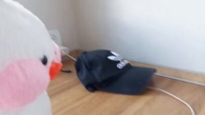 1000048946.mp4