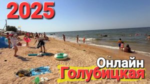 Идем гулять у моря 27.07.2025 #Голубицкая Онлайн Крым Алушта Оленевка Поговорим