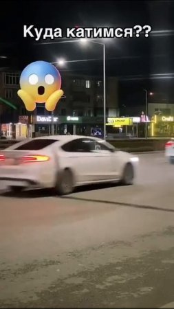 заКОН для гоев и шикССССР-живОТным!!!