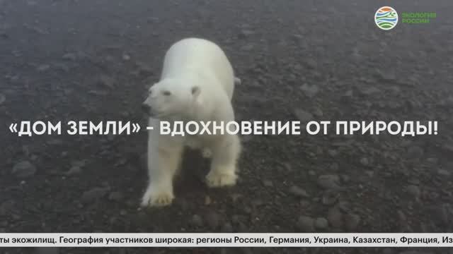 Дом Земли