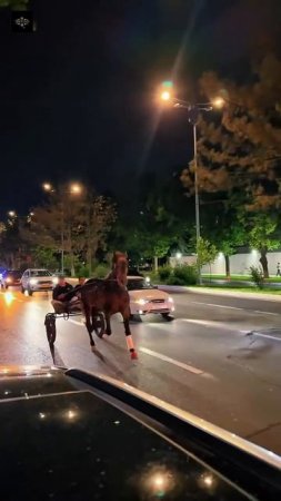 Веселая езда