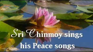 Шри Чинмой поёт свои песни о Покое | Концерт Покоя, Школа №86, Нью-Йорк, 22 февраля 1992г.