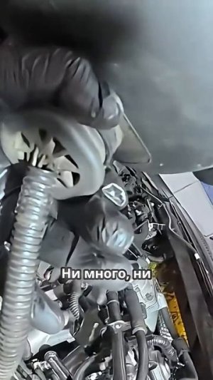 TG: nexpertGM ДМРВ МУТАНТ! ЭТО НЕ ВЕРОЯТНО! #shorts #независимыйэксперт #георгиймедведев #авто