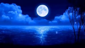 🙏 Послушайте перед сном Успокоение души🍃 Очень красиво чтения Корана ❤️